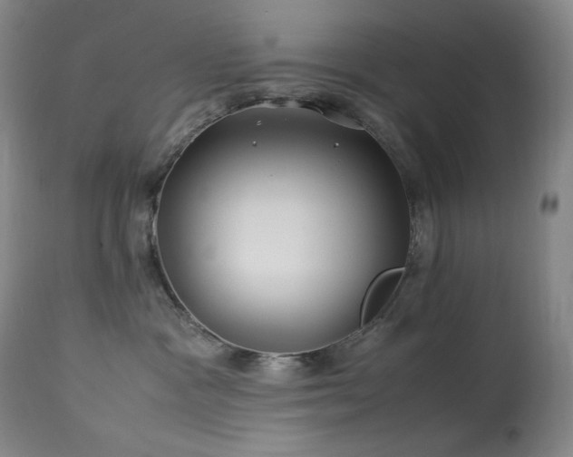 X0000113990333200910021229