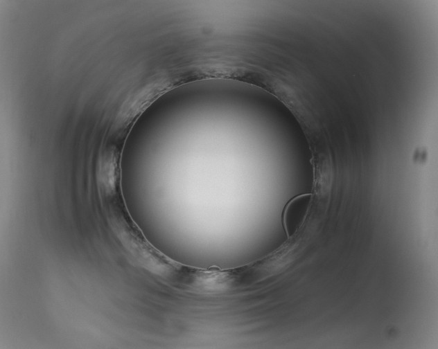 X0000113990334200910021229