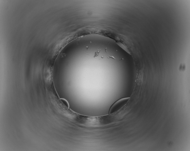 X0000113990335200910021229