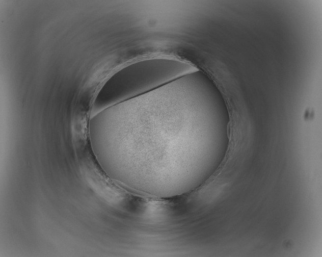 X0000113990336200910021229