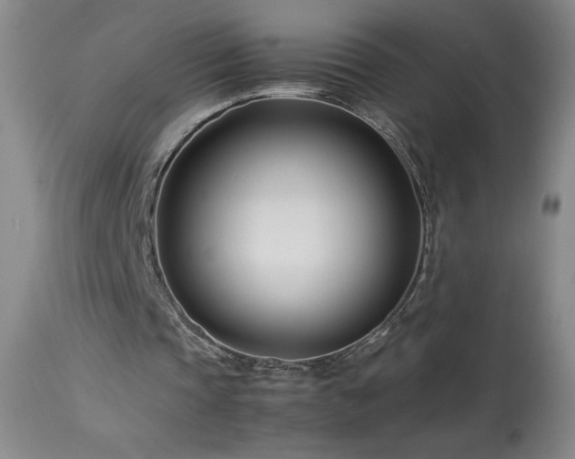 X0000113990337200910021228