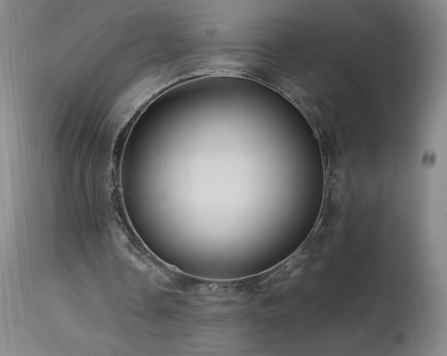 X0000113990338200910021228