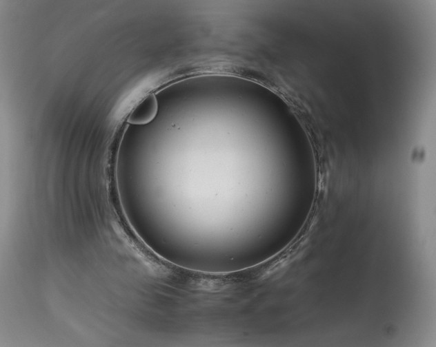 X0000113990341200910021228