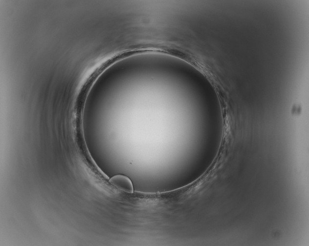 X0000113990342200910021228