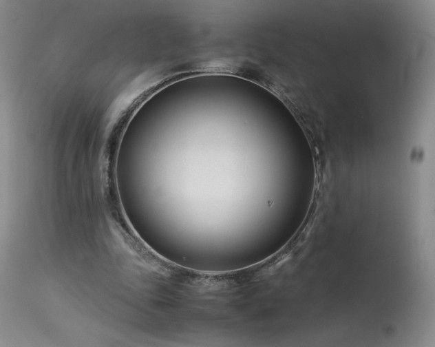 X0000113990343200910021228