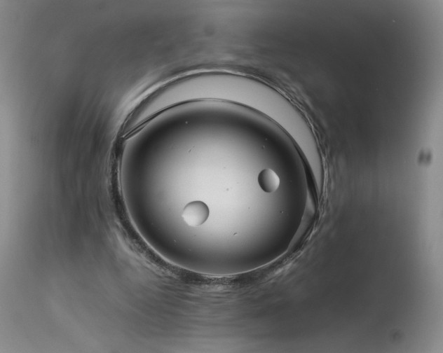 X0000113990344200910021228