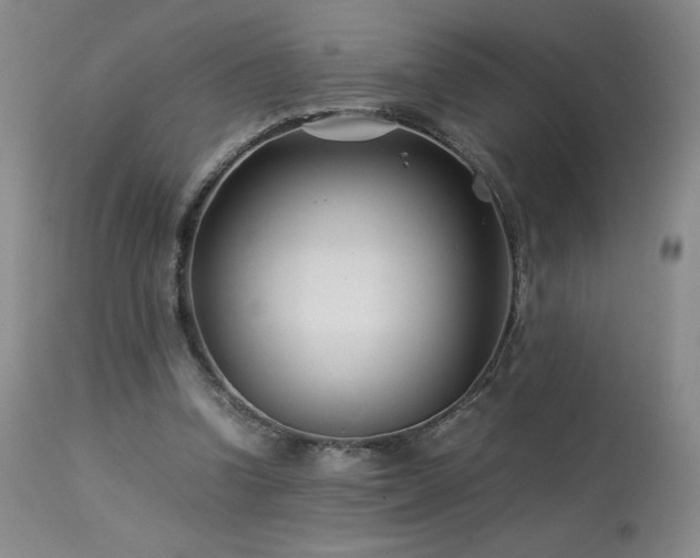 X0000113990346200910021228