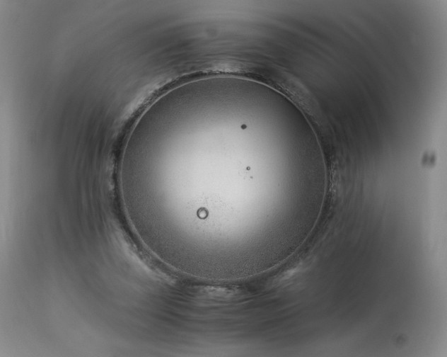 X0000113990347200910021228