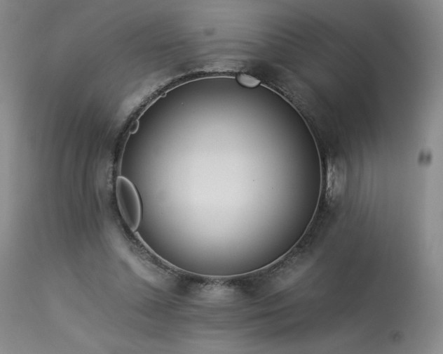 X0000113990348200910021228