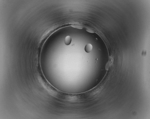 X0000113990349200910021228