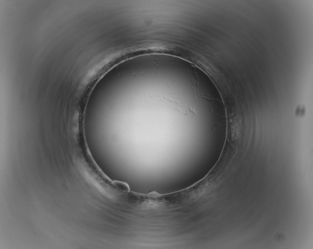 X0000113990350200910021228