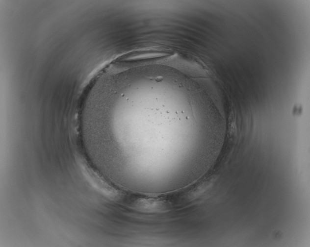 X0000113990351200910021228