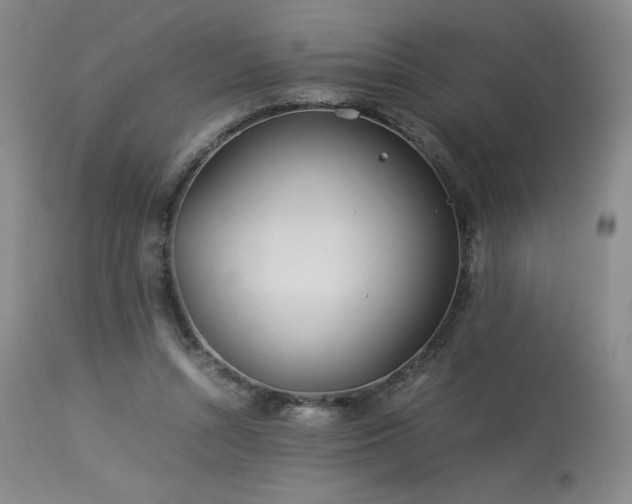 X0000113990352200910021228