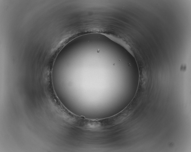 X0000113990355200910021228