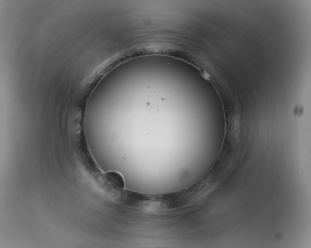 X0000113990356200910021228