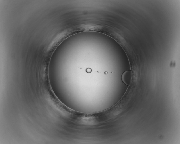 X0000113990357200910021228