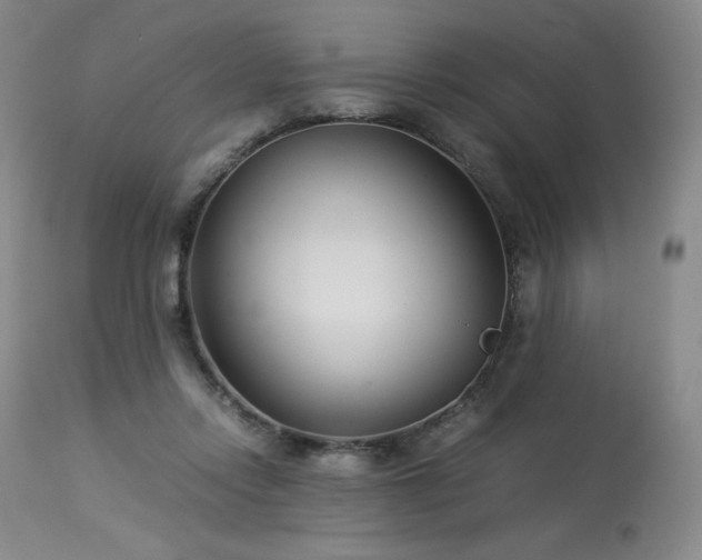 X0000113990358200910021228