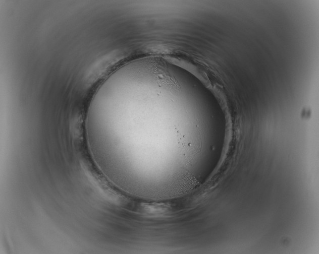 X0000113990359200910021228