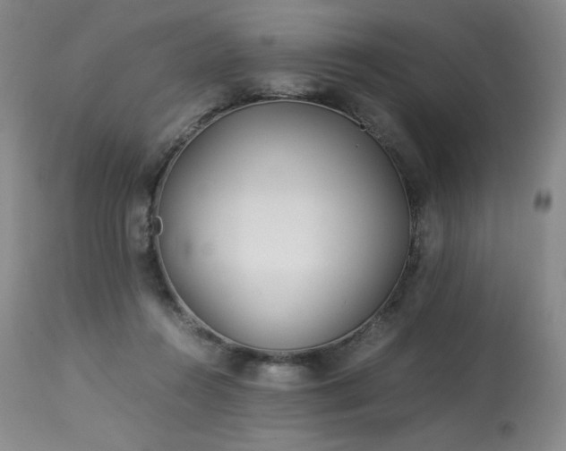 X0000113990360200910021228