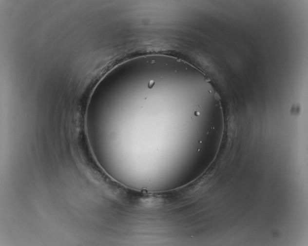 X0000113990362200910021228