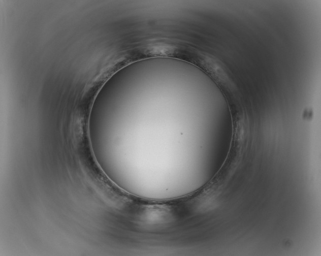 X0000113990363200910021228