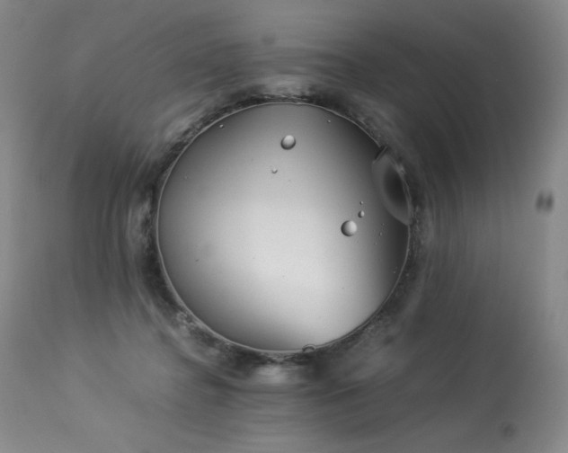 X0000113990364200910021228