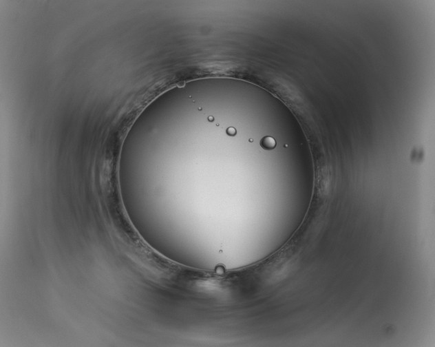 X0000113990365200910021229