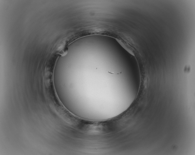 X0000113990366200910021229