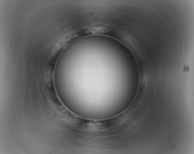 X0000113990367200910021229