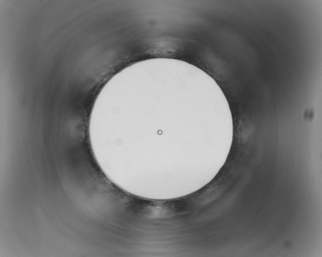 X0000113990370200910021229