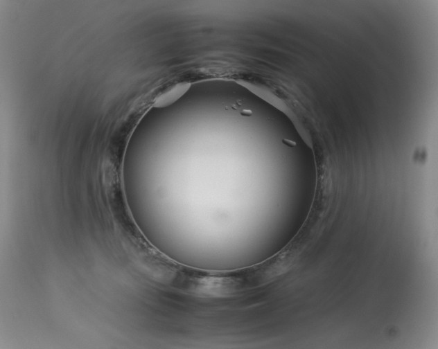 X0000113990371200910021229