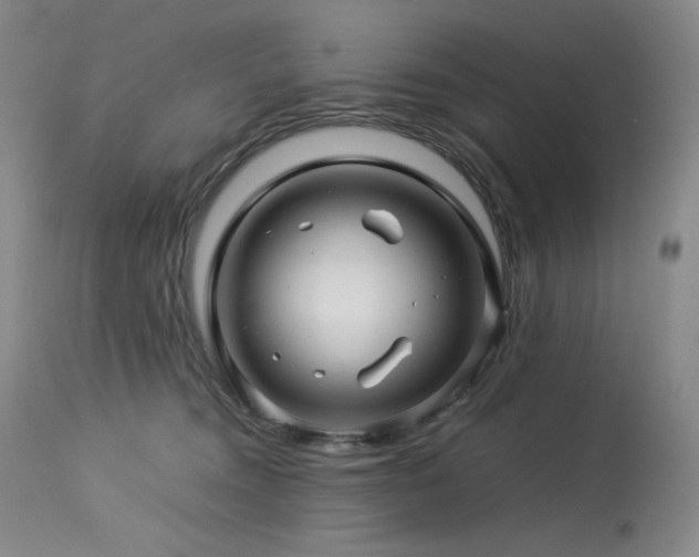 X0000113990372200910021229