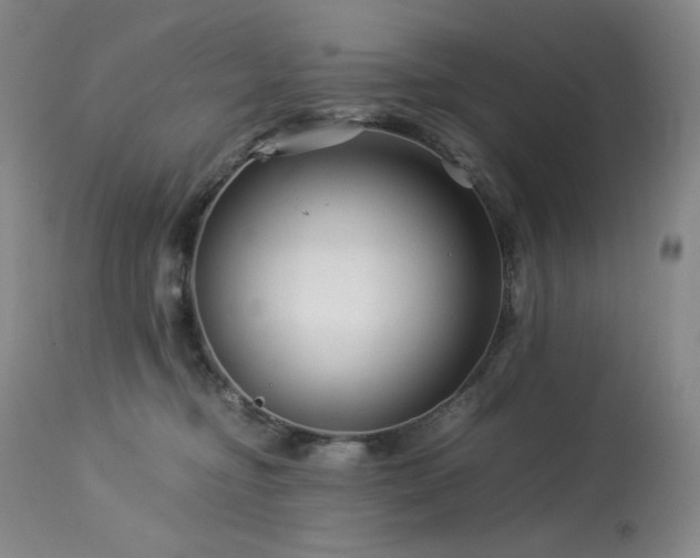 X0000113990374200910021229