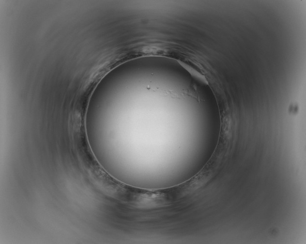 X0000113990375200910021229