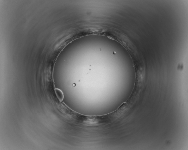 X0000113990376200910021229