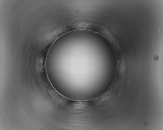 X0000113990378200910021229