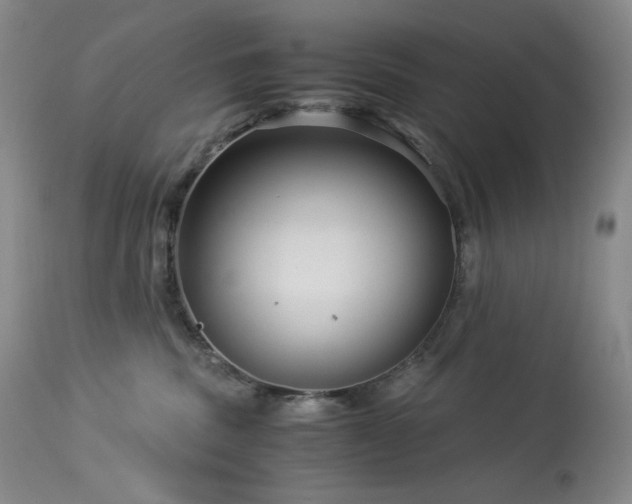 X0000113990379200910021229