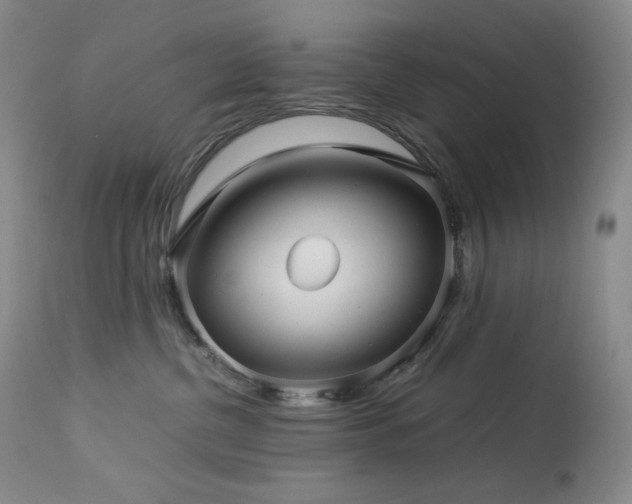 X0000113990380200910021229