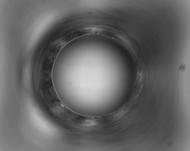 X0000113990381200910021229