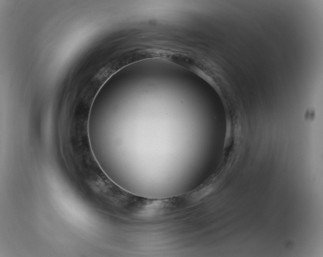 X0000113990382200910021229