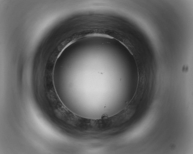 X0000113990383200910021229