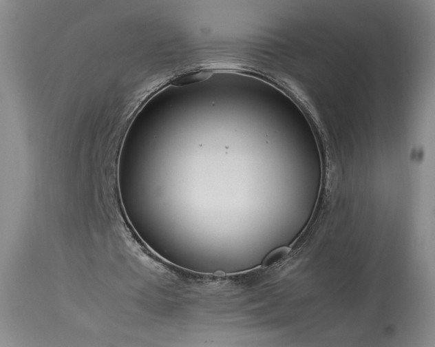 X0000113990385200910021228