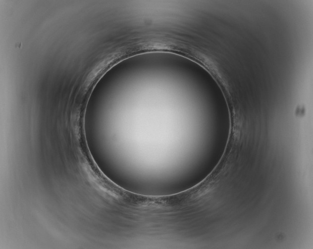 X0000113990386200910021228