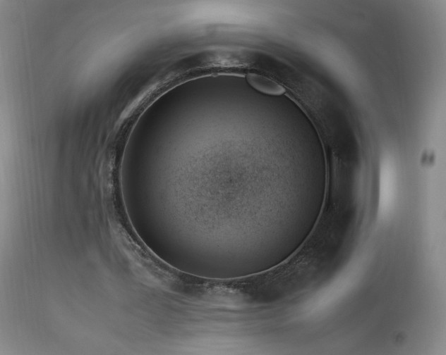 X0000113990387200910021228