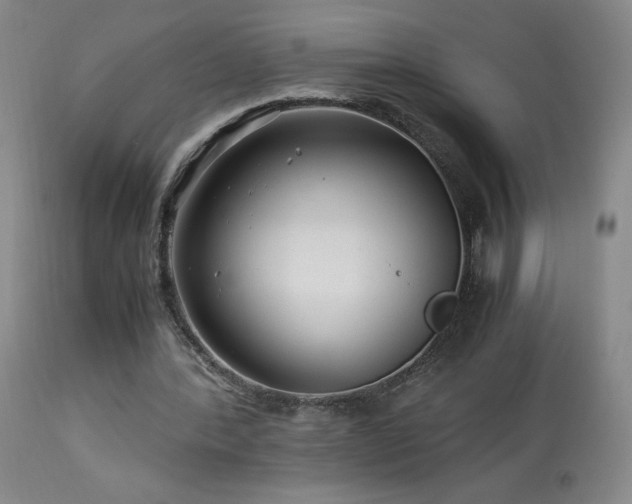 X0000113990388200910021228