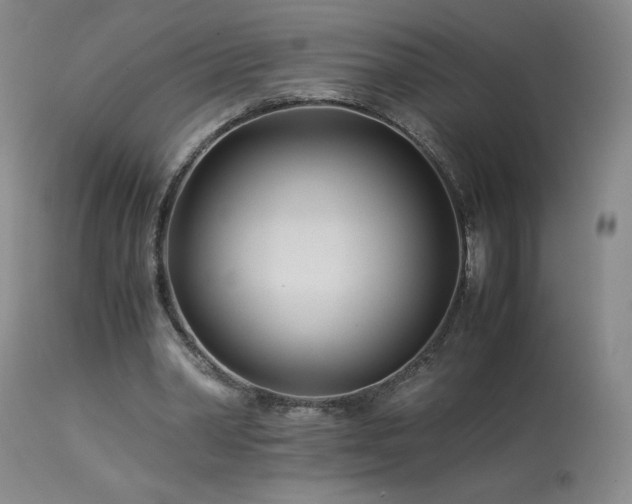 X0000113990390200910021228