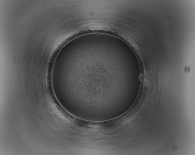 X0000113990391200910021228