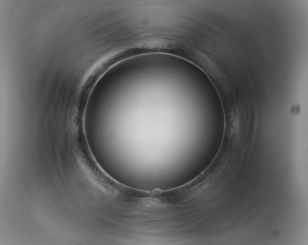 X0000113990392200910021228