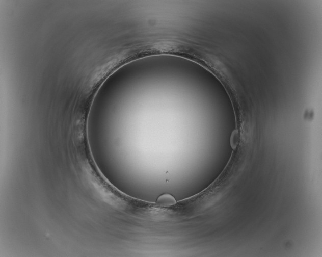 X0000113990393200910021228