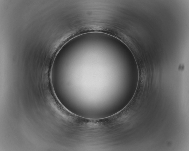 X0000113990394200910021228